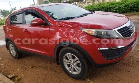 Buy Used Kia Sportage Red Car in Lome in Togo Buy Used Kia Sportage Red Car in Lome in Togo