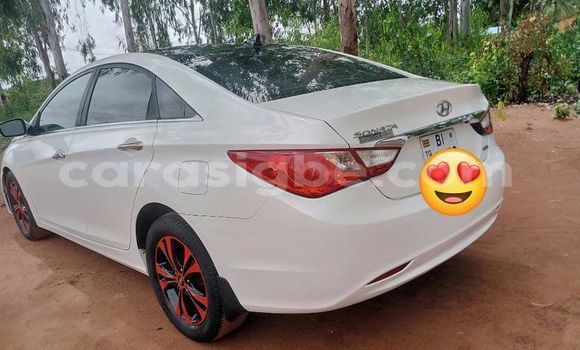 Buy Used Hyundai Sonata White Car in Lome in Togo Buy Used Hyundai Sonata White Car in Lome in Togo