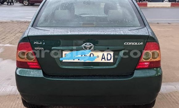 Buy Used Toyota Corolla Green Car in Lome in Togo Buy Used Toyota Corolla Green Car in Lome in Togo