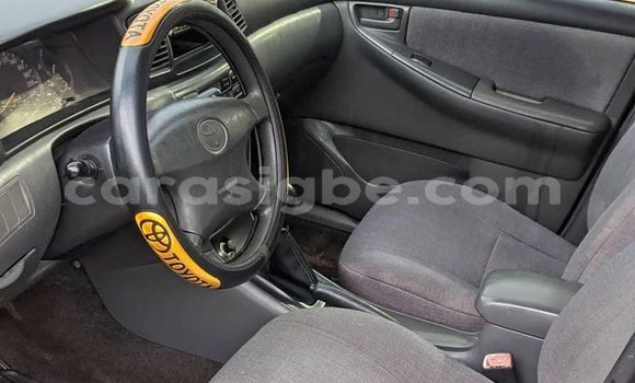 Buy Used Toyota Corolla Green Car in Lome in Togo Buy Used Toyota Corolla Green Car in Lome in Togo