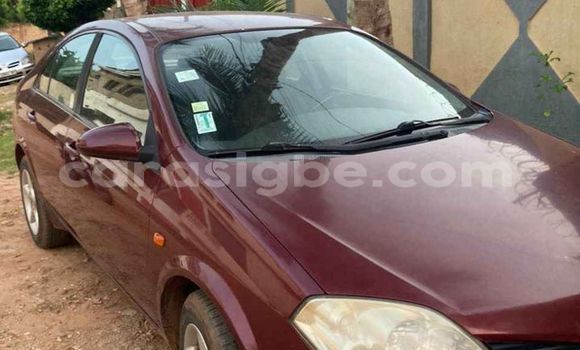Buy Used Ford Focus Red Car in Lome in Togo Buy Used Ford Focus Red Car in Lome in Togo