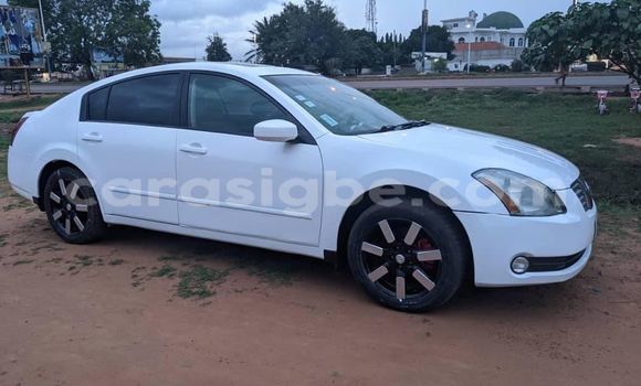 Buy Used Nissan Maxima White Car in Lome in Togo Buy Used Nissan Maxima White Car in Lome in Togo