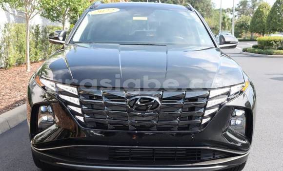 Acheter Import Voiture Hyundai Tucson Marron à Amoutivé, Togo