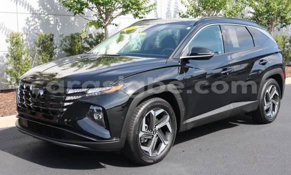 Buy Import Hyundai Tucson Brown Car in Amoutivé in Togo Buy Import Hyundai Tucson Brown Car in Amoutivé in Togo