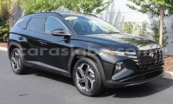 Buy Import Hyundai Tucson Brown Car in Amoutivé in Togo Buy Import Hyundai Tucson Brown Car in Amoutivé in Togo