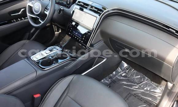 Buy Import Hyundai Tucson Brown Car in Amoutivé in Togo Buy Import Hyundai Tucson Brown Car in Amoutivé in Togo