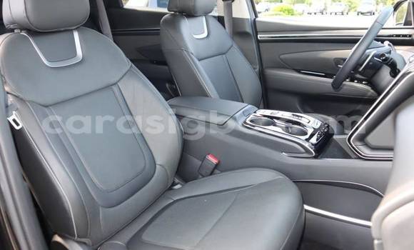 Buy Import Hyundai Tucson Brown Car in Amoutivé in Togo Buy Import Hyundai Tucson Brown Car in Amoutivé in Togo