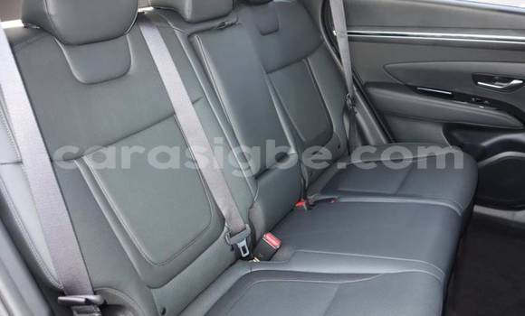 Buy Import Hyundai Tucson Brown Car in Amoutivé in Togo Buy Import Hyundai Tucson Brown Car in Amoutivé in Togo