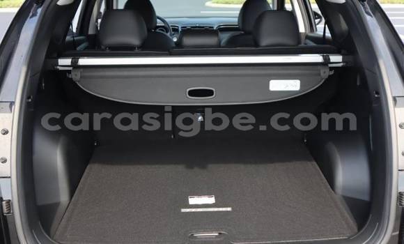 Buy Import Hyundai Tucson Brown Car in Amoutivé in Togo Buy Import Hyundai Tucson Brown Car in Amoutivé in Togo