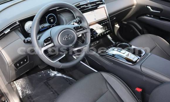 Buy Import Hyundai Tucson Brown Car in Amoutivé in Togo Buy Import Hyundai Tucson Brown Car in Amoutivé in Togo