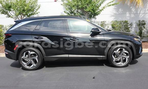 Buy Import Hyundai Tucson Brown Car in Amoutivé in Togo Buy Import Hyundai Tucson Brown Car in Amoutivé in Togo