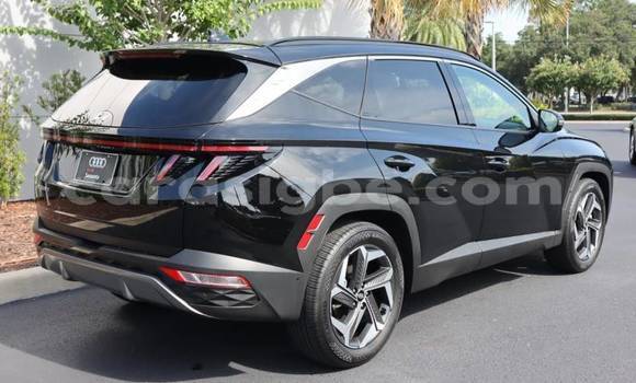 Buy Import Hyundai Tucson Brown Car in Amoutivé in Togo Buy Import Hyundai Tucson Brown Car in Amoutivé in Togo