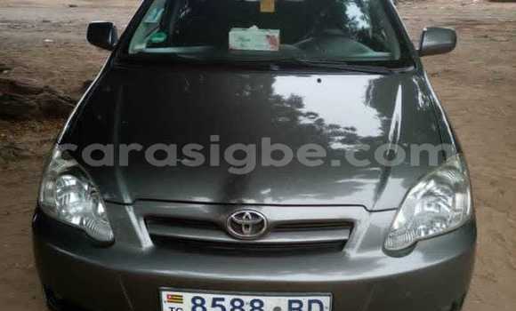 Buy Used Toyota Corolla Brown Car in Lome in Togo Buy Used Toyota Corolla Brown Car in Lome in Togo