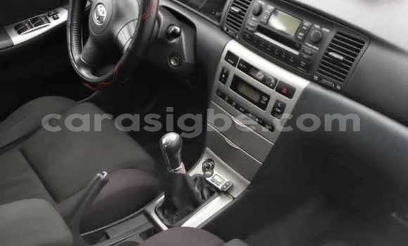 Buy Used Toyota Corolla Brown Car in Lome in Togo Buy Used Toyota Corolla Brown Car in Lome in Togo