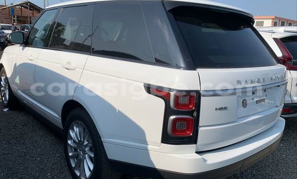 Acheter Neuf Voiture Range Rover Range Rover Blanc à Lomé, Togo