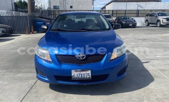 Acheter Import Voiture Toyota Corolla Bleu à Adawlato, Togo Acheter Import Voiture Toyota Corolla Bleu à Adawlato, Togo