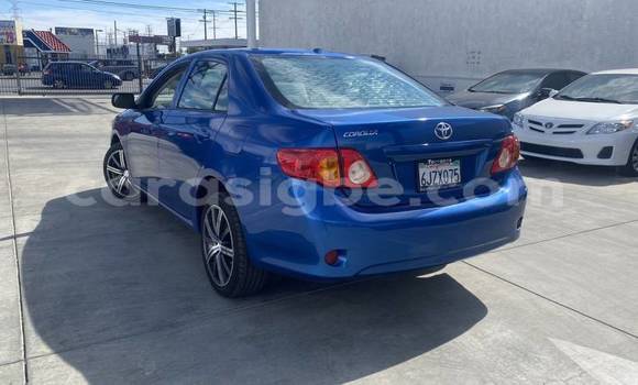 Acheter Import Voiture Toyota Corolla Bleu à Adawlato, Togo Acheter Import Voiture Toyota Corolla Bleu à Adawlato, Togo