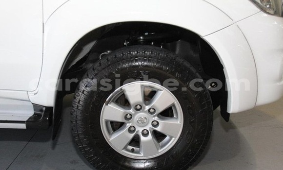 Buy Import Toyota Hilux White Car in Aneho in Togo Buy Import Toyota Hilux White Car in Aneho in Togo