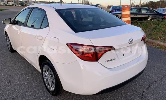 Buy Used Toyota Corolla White Car in Lome in Togo Buy Used Toyota Corolla White Car in Lome in Togo