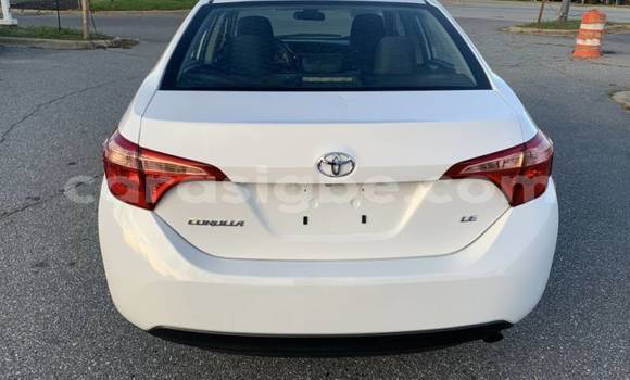 Buy Used Toyota Corolla White Car in Lome in Togo Buy Used Toyota Corolla White Car in Lome in Togo
