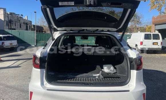 Buy Import Lexus RX 350 White Car in Adawlato in Togo Buy Import Lexus RX 350 White Car in Adawlato in Togo