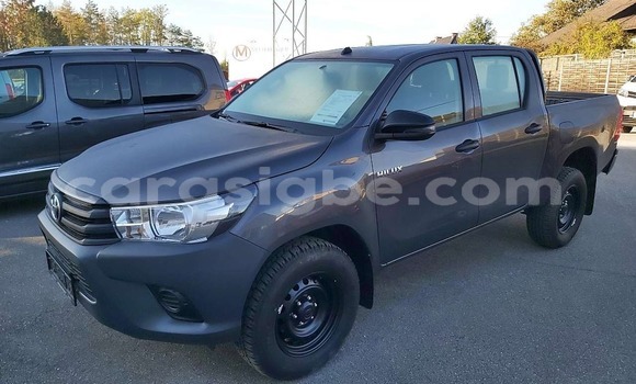 Acheter Import Voiture Toyota Hilux Gris à Forever, Togo Acheter Import Voiture Toyota Hilux Gris à Forever, Togo
