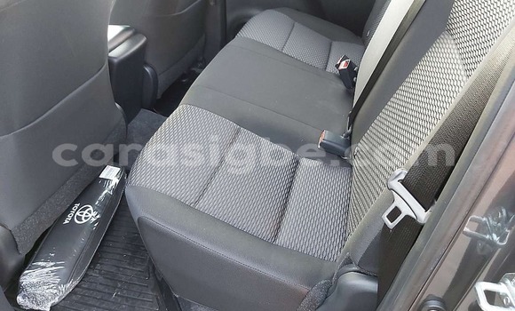 Acheter Import Voiture Toyota Hilux Gris à Forever, Togo Acheter Import Voiture Toyota Hilux Gris à Forever, Togo