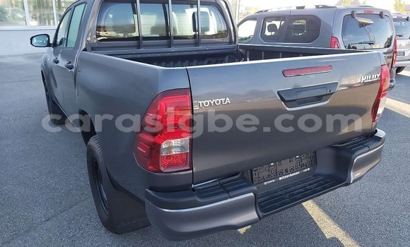 Acheter Import Voiture Toyota Hilux Gris à Forever, Togo Acheter Import Voiture Toyota Hilux Gris à Forever, Togo
