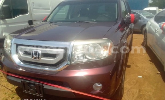 Buy Used Honda Pilot Red Car in Lome in Togo Buy Used Honda Pilot Red Car in Lome in Togo
