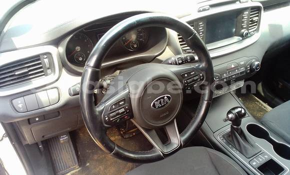 Buy Used Kia Sorento White Car in Lome in Togo Buy Used Kia Sorento White Car in Lome in Togo