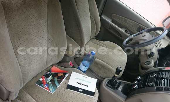 Buy Used Hyundai Tucson White Car in Lome in Togo Buy Used Hyundai Tucson White Car in Lome in Togo