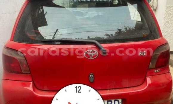 Buy Used Toyota Yaris Red Car in Lome in Togo Buy Used Toyota Yaris Red Car in Lome in Togo