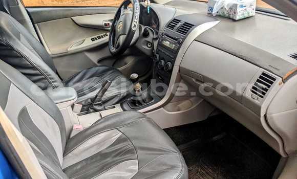 Buy Used Toyota Corolla Blue Car in Lome in Togo Buy Used Toyota Corolla Blue Car in Lome in Togo