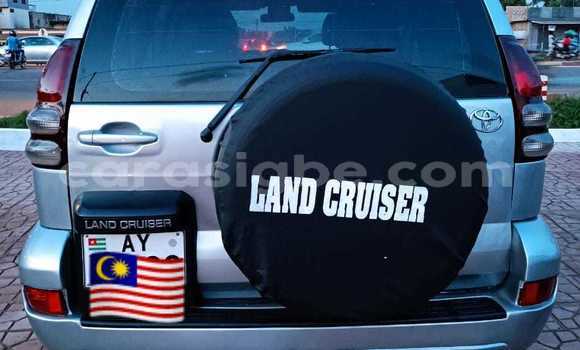 Acheter Occasion Voiture Toyota Land Cruiser Gris à Lomé, Togo Acheter Occasion Voiture Toyota Land Cruiser Gris à Lomé, Togo