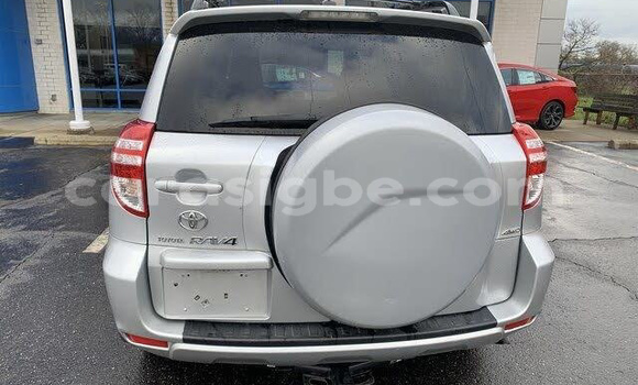 Buy Import Toyota RAV4 Silver Car in Xédranawoe in Togo Buy Import Toyota RAV4 Silver Car in Xédranawoe in Togo