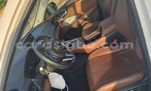 Buy Used Acura RDX White Car in Lome in Togo Buy Used Acura RDX White Car in Lome in Togo