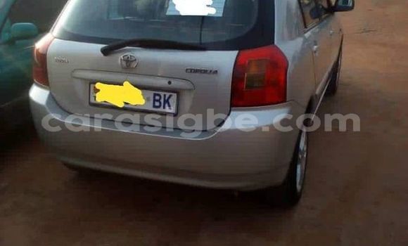 Buy Used Toyota Corolla Silver Car in Lome in Togo Buy Used Toyota Corolla Silver Car in Lome in Togo