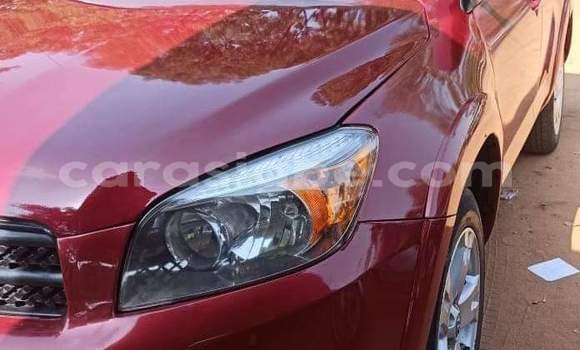 Buy Used Toyota RAV4 Red Car in Lome in Togo Buy Used Toyota RAV4 Red Car in Lome in Togo