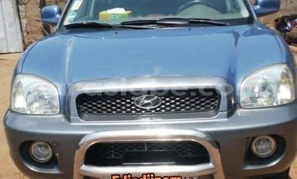 Buy Used Hyundai Tucson Blue Car in Lome in Togo Buy Used Hyundai Tucson Blue Car in Lome in Togo