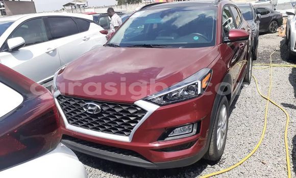 Buy Used Hyundai Tucson Red Car in Lome in Togo Buy Used Hyundai Tucson Red Car in Lome in Togo