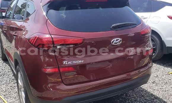 Buy Used Hyundai Tucson Red Car in Lome in Togo Buy Used Hyundai Tucson Red Car in Lome in Togo