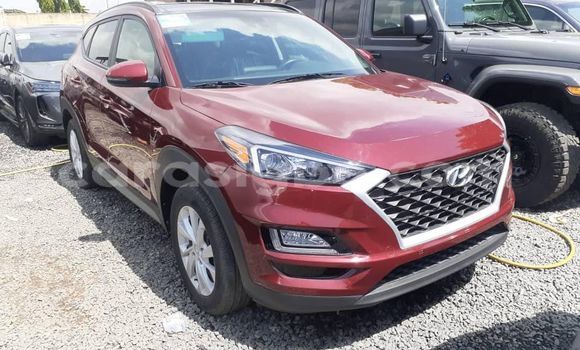 Buy Used Hyundai Tucson Red Car in Lome in Togo Buy Used Hyundai Tucson Red Car in Lome in Togo
