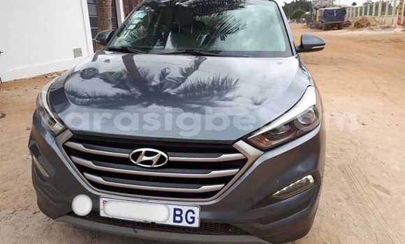 Buy Used Hyundai Tucson Other Car in Lome in Togo Buy Used Hyundai Tucson Other Car in Lome in Togo