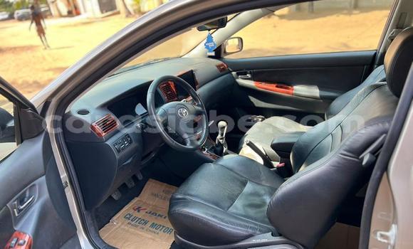 Acheter Occasion Voiture Toyota Allex Gris à Lomé, Togo Acheter Occasion Voiture Toyota Allex Gris à Lomé, Togo