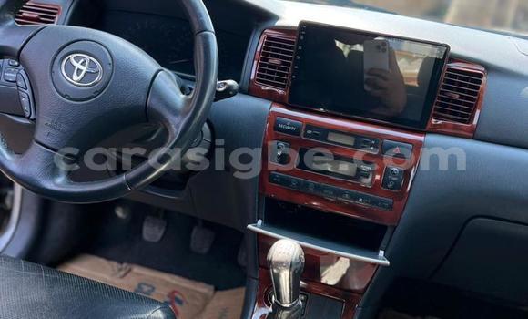 Acheter Occasion Voiture Toyota Allex Gris à Lomé, Togo Acheter Occasion Voiture Toyota Allex Gris à Lomé, Togo