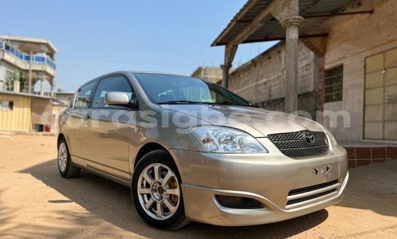 Acheter Occasion Voiture Toyota Allex Gris à Lomé, Togo Acheter Occasion Voiture Toyota Allex Gris à Lomé, Togo