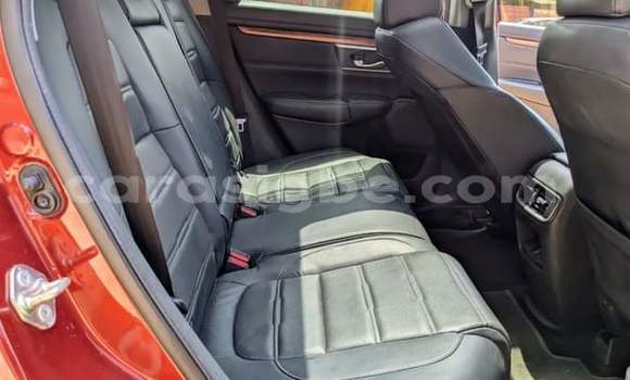 Buy Used Honda CR–V Red Car in Lome in Maritime Buy Used Honda CR–V Red Car in Lome in Maritime