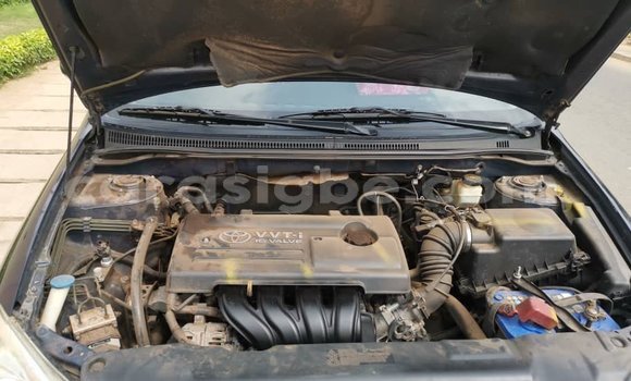 Acheter Occasion Voiture Toyota Corolla Bleu à Lomé, Togo Acheter Occasion Voiture Toyota Corolla Bleu à Lomé, Togo