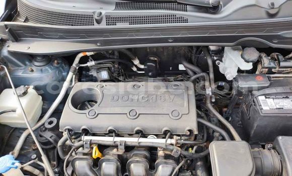 Buy Used Kia Sportage Blue Car in Lome in Togo Buy Used Kia Sportage Blue Car in Lome in Togo