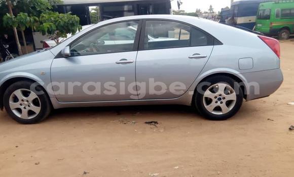 Buy Used Nissan Primera Blue Car in Lome in Togo Buy Used Nissan Primera Blue Car in Lome in Togo